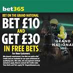 how to put a bet on the grand national
